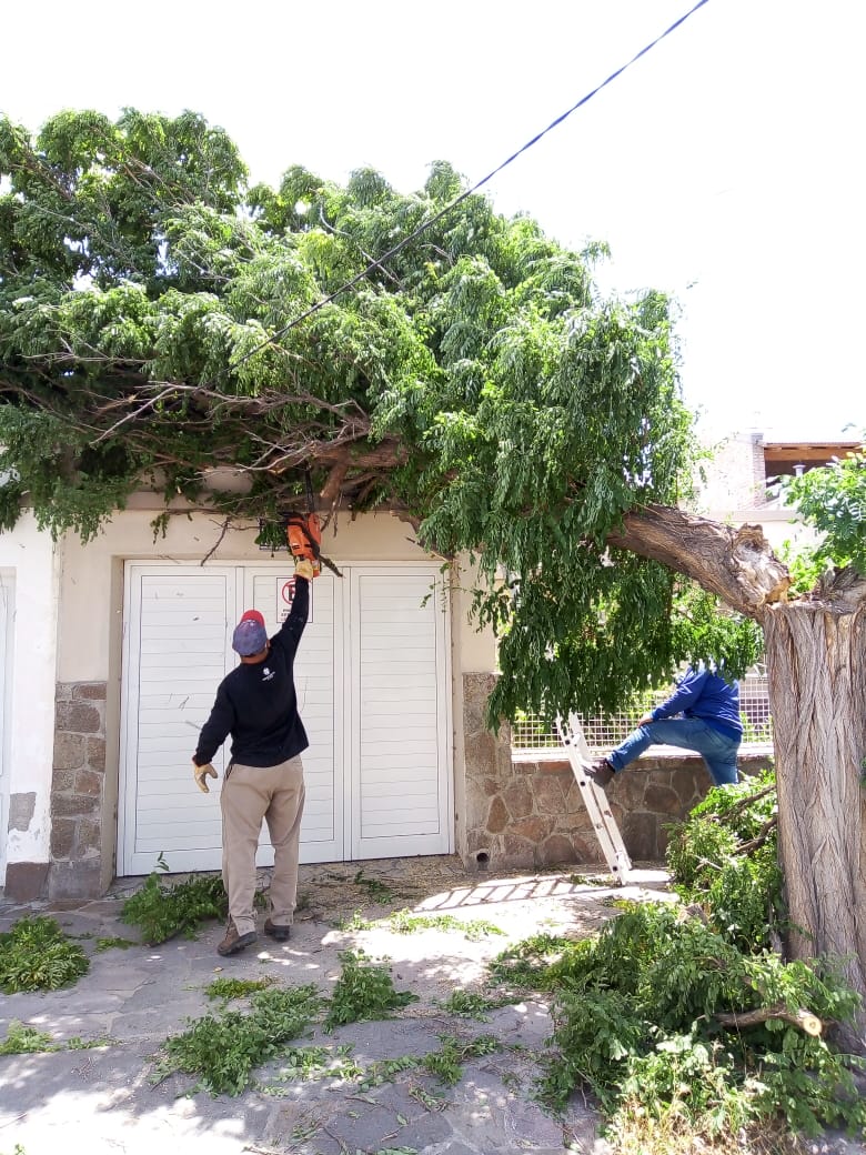 #TRELEW | TAREAS DE ASISTENCIA POR CONSECUENCIA DEL TEMPORAL DE&nbsp;VIENTO