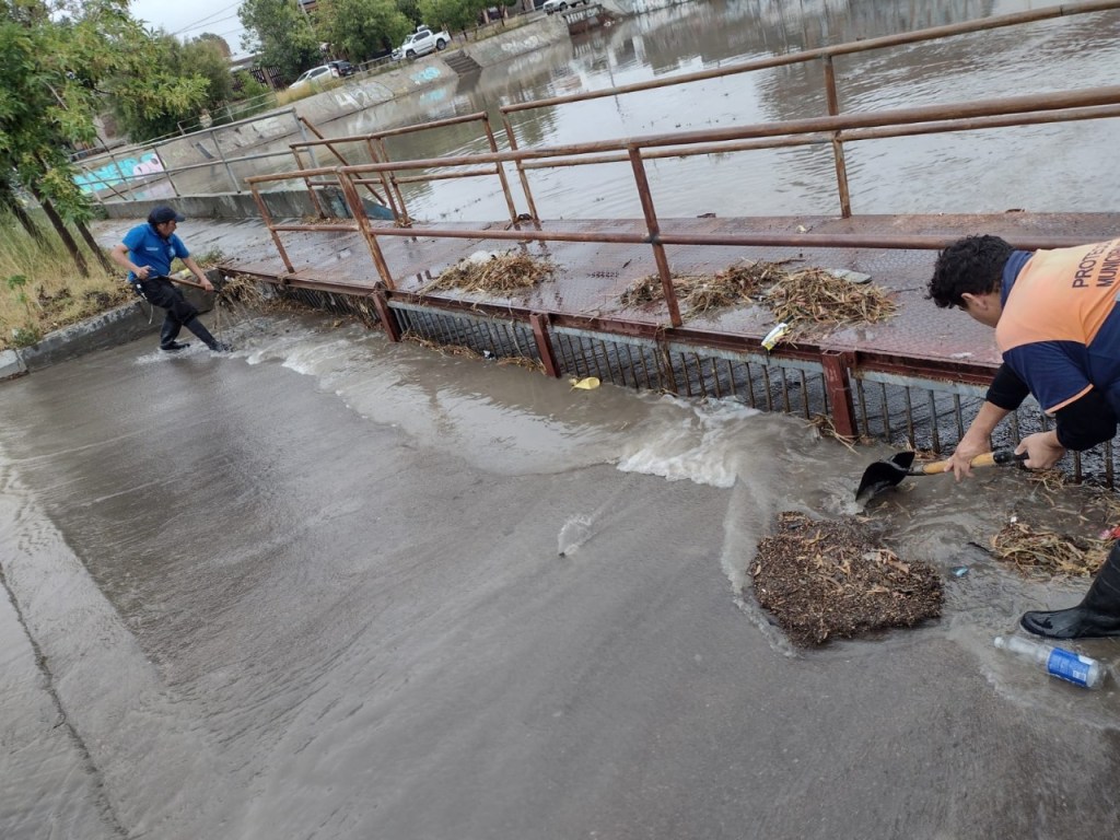 #TRELEW | UNA FAMILIA EVACUADA Y   MAS DE CIEN INTERVENCIONES EN&nbsp;DOMICILIOS