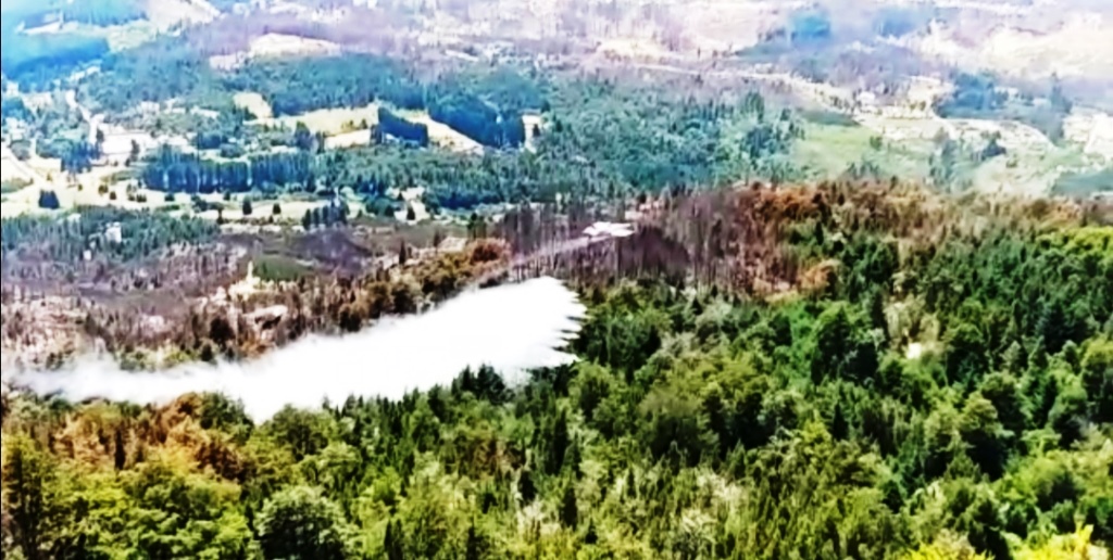 #CHUBUT | LOGRARON CONTROLAR EL INCENDIO EN LAGO&nbsp;PUELO