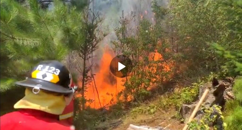 #CHUBUT | INCENDIO FORESTAL EN LAGO&nbsp;PUELO