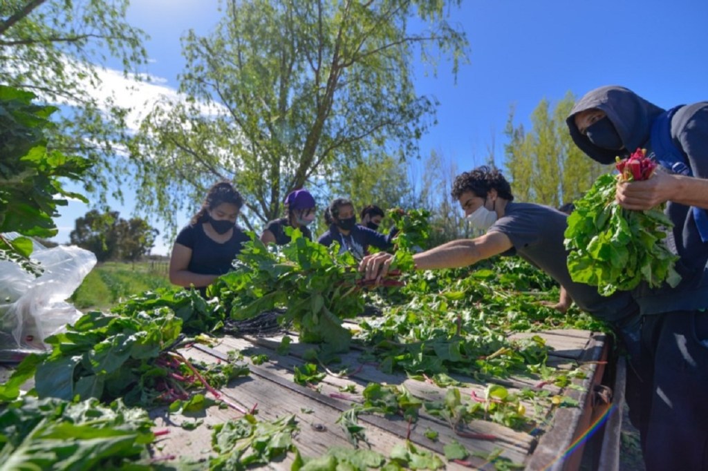 #TRELEW | Invertirán más de 40 millones de pesos para fortalecer el cinturón&nbsp;frutihortícola