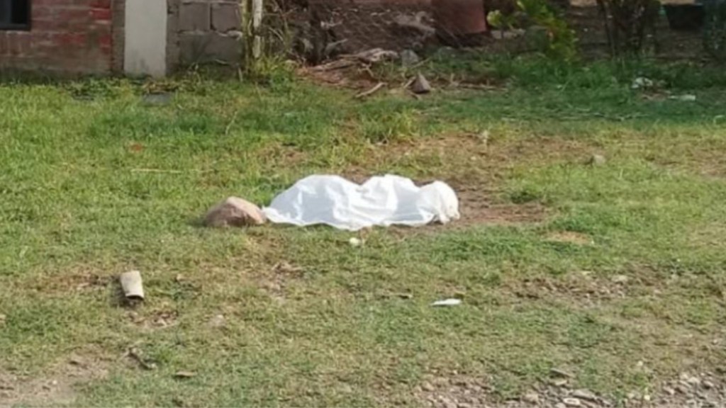 #MACABRO | ENCUENTRAN A UNA JAURÍA DE PERROS COMIÉNDOSE UN FETO AL QUE LE FALTABA LA CABEZA 