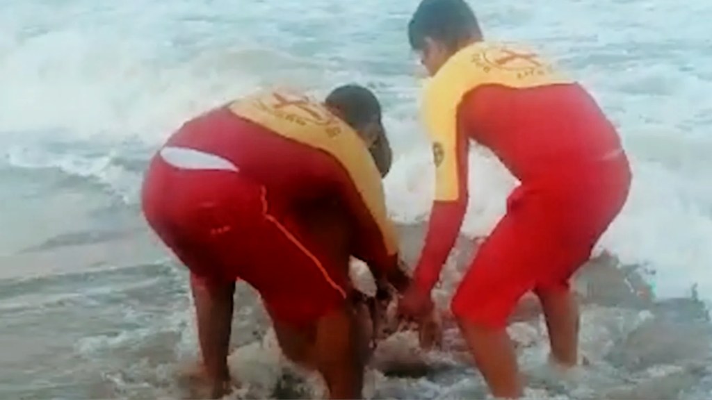 #HORROR | UN TIBURÓN LE ARRANCÓ UNA PIERNA A UNA NENA DE 8 AÑOS Y ESTÁ GRAVE 