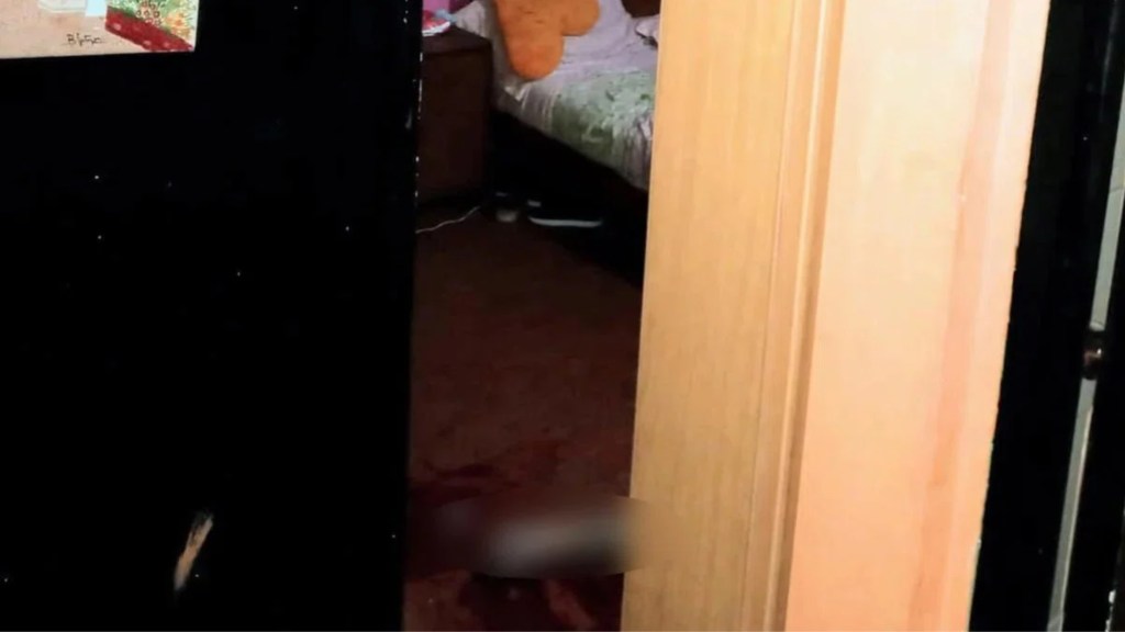 #HORROR | MATAN DE UN TIRO EN LA CABEZA A UNA MUJER EMBARAZADA Y HIEREN GRAVEMENTE A SU HIJA DE 9&nbsp;AÑOS