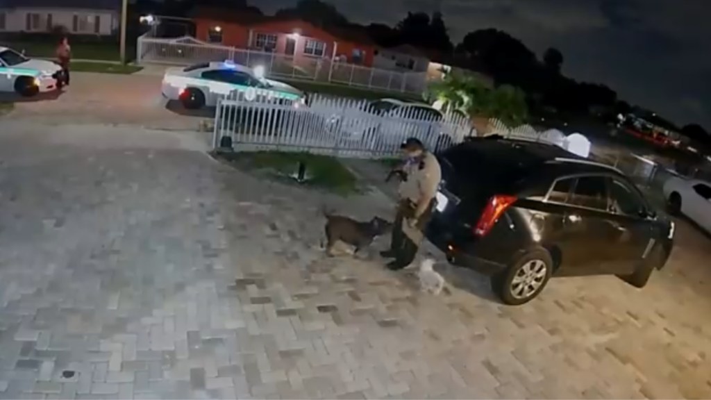 #INDIGNANTE | POLICÍA MATÓ DE SIETE BALAZOS A UN CACHORRO INOFENSIVO 