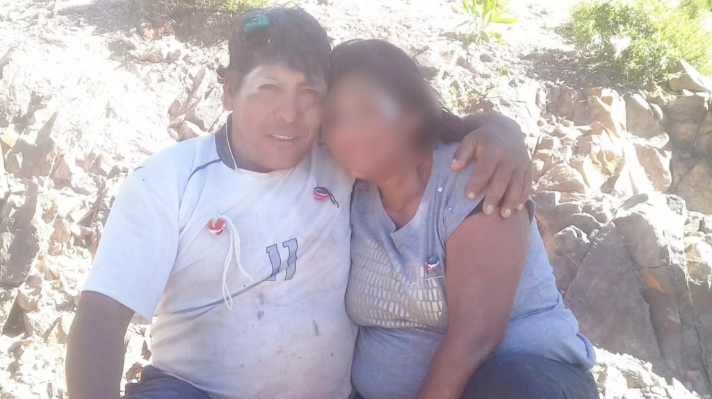 #TRAGEDIA | TRABAJADOR MUERE ATACADO POR UN ENJAMBRE DE&nbsp;ABEJAS