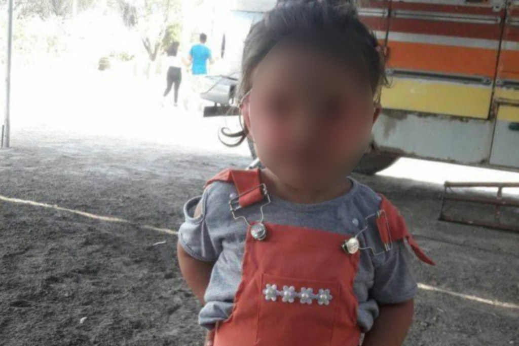 #TRAGEDIA | IDENTIFICARON A LA NENA DE TRES AÑOS QUE SE AHOGÓ EN SU PILETA TRATANDO DE RESCATAR A SU&nbsp;GATITO