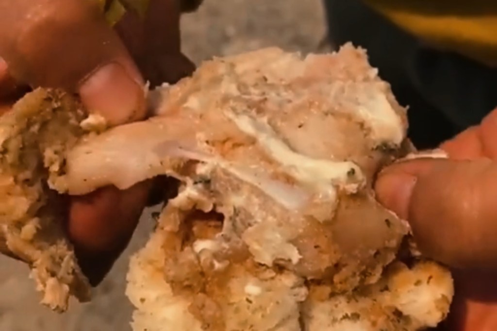 #INDIGNANTE | POLLO CRUDO: LA COMIDA QUE LES DAN A LOS BRIGADISTAS QUE COMBATEN LOS INCENDIOS 