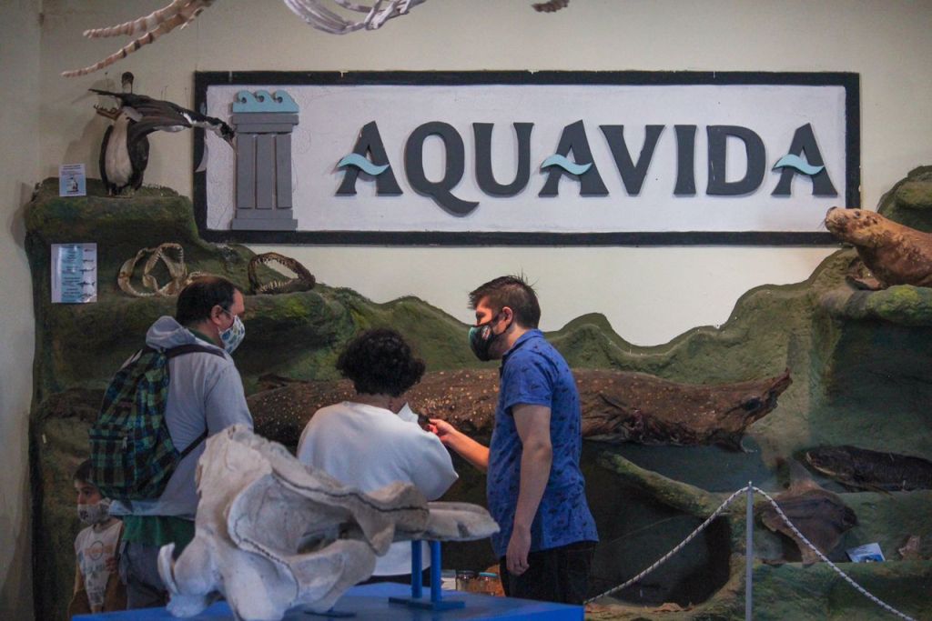 #RAWSON | DÍA DE LA EDUCACIÓN&nbsp;AMBIENTAL