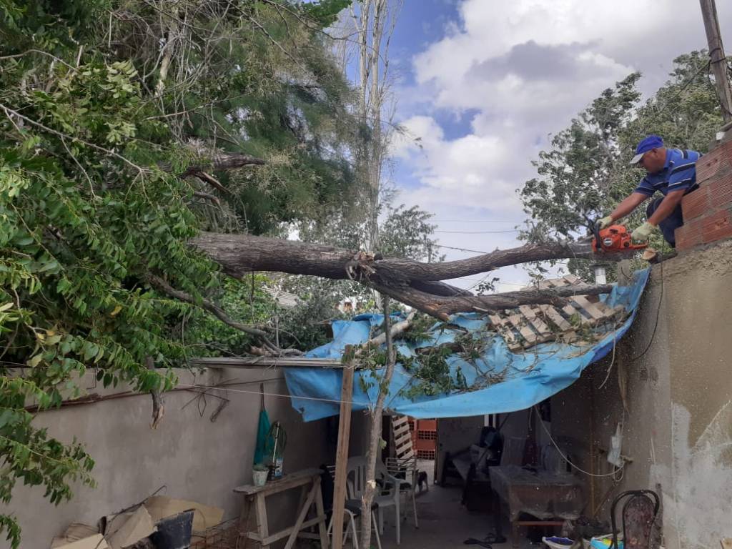 #TRELEW | ACCIONES FRENTE A PROBLEMAS CAUSADOS POR EL&nbsp;VIENTO