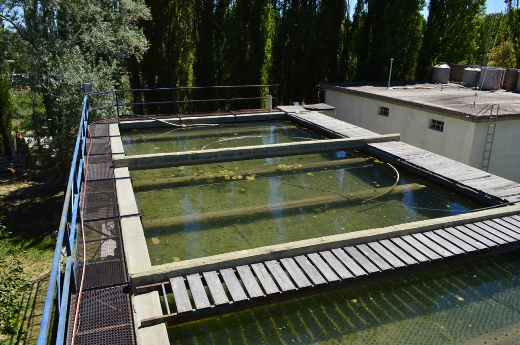 #TRELEW | MEJORAN EL SISTEMA DE EFLUENTES DEL PARQUE&nbsp;INDUSTRIAL