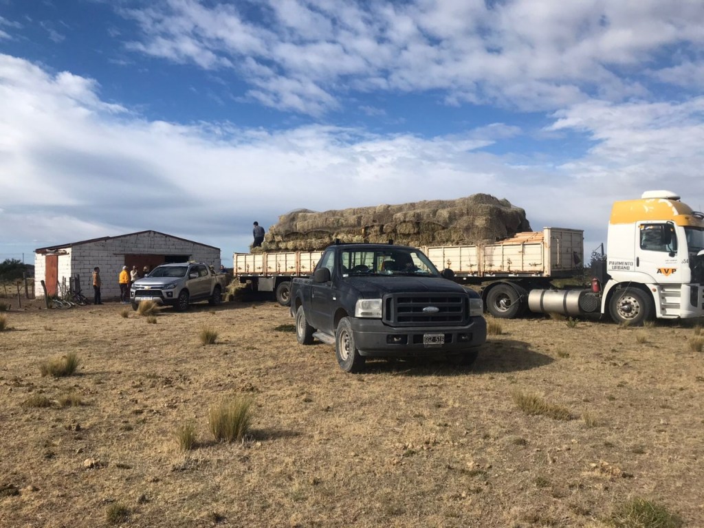 #CHUBUT | INSUMOS PARA PRODUCTORES AFECTADOS POR LOS&nbsp;INCENDIOS