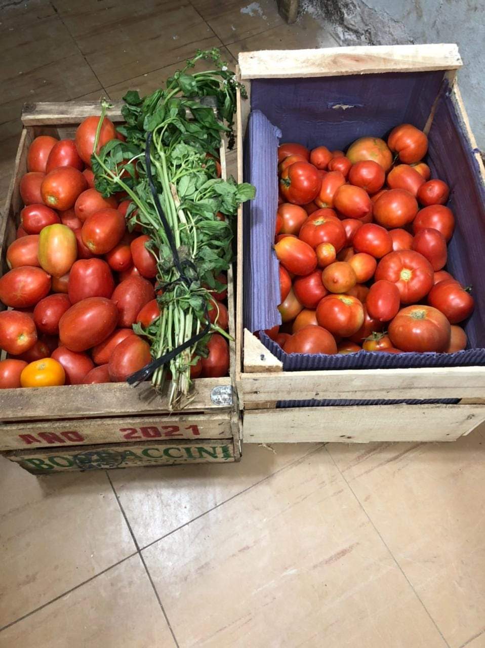 #CHUBUT | ENTREGAN HORTALIZAS PRODUCIDAS EN EL CENTRO ARTURO&nbsp;ROBERTS