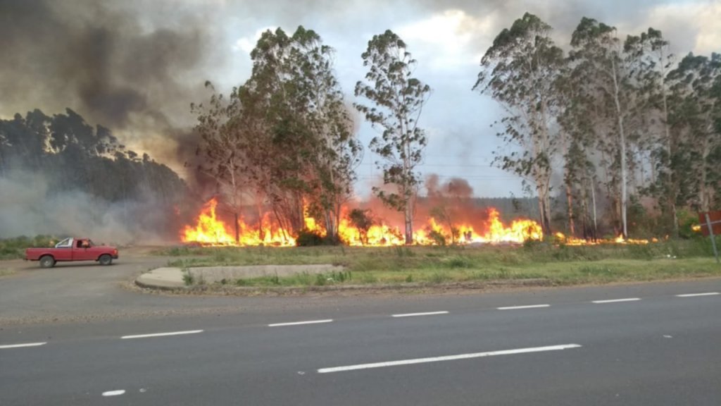 #PAÍS | SE QUEMARON 6 MIL HECTÁREAS EN&nbsp;CORRIENTES