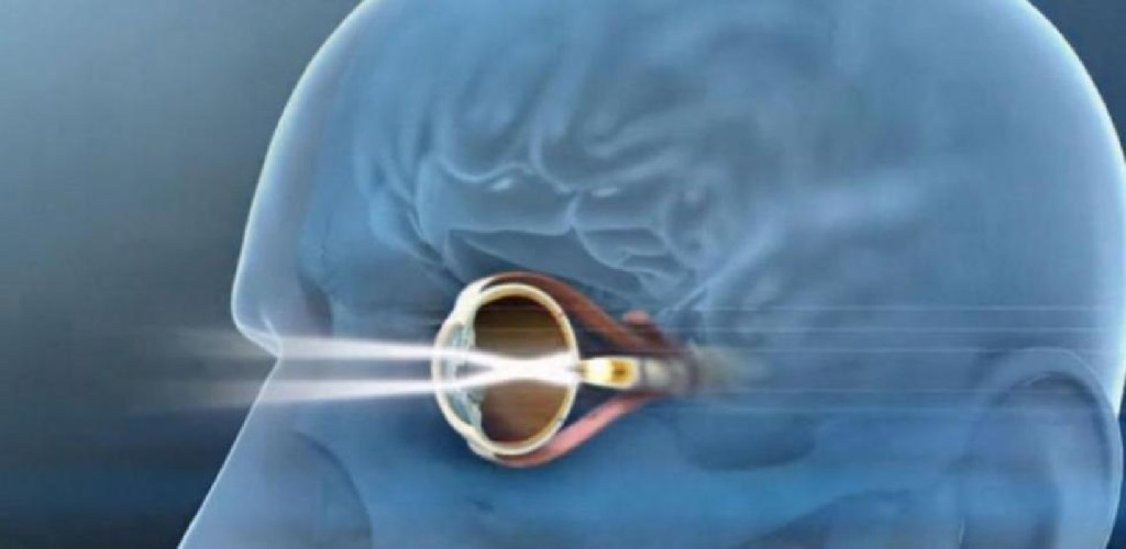 #MUNDO | Una mujer británica de 88 años recupera su visión tras recibir el primer implante de un chip&nbsp;biónico