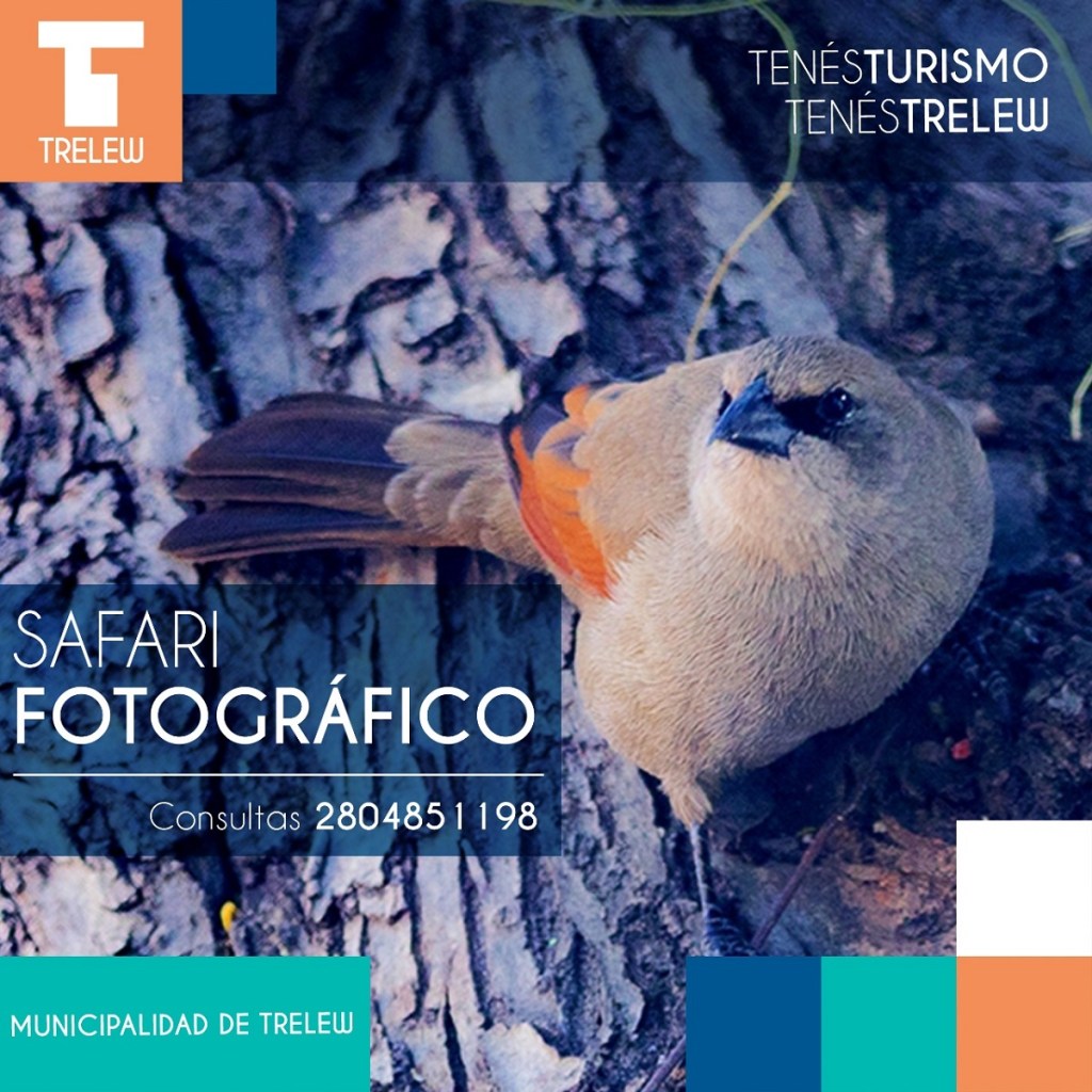 #DATO | ¡safari fotográfico en el sistema lagunar de&nbsp;Trelew!
