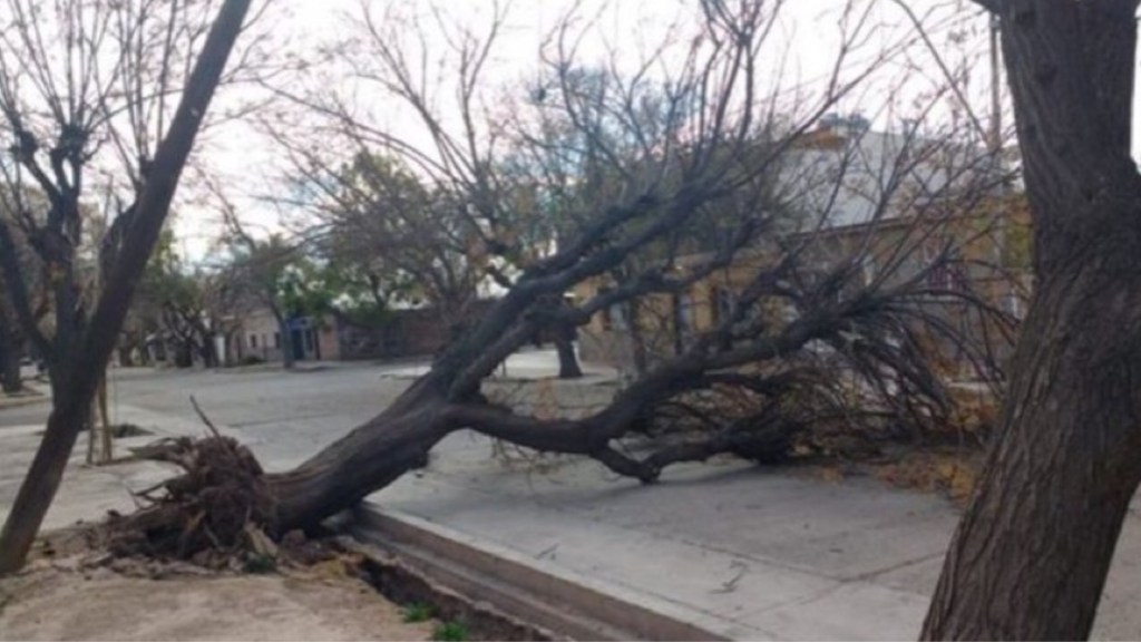 #TRAGEDIA | UN MUERTO Y UN HERIDO GRAVE A RAÍZ DE UN FUERTE TEMPORAL EN&nbsp;MENDOZA