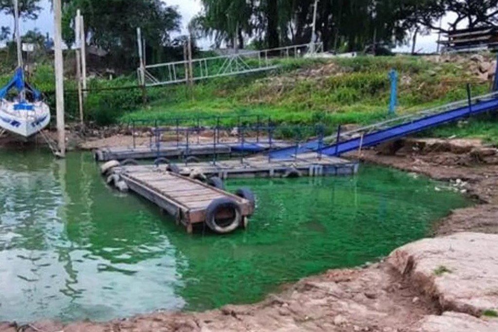 #ALERTA | POR LA PRESENCIA DE UNA CIANOBACTERIA RECOMIENDAN NO BAÑARSE EN EL RÍO&nbsp;PARANÁ