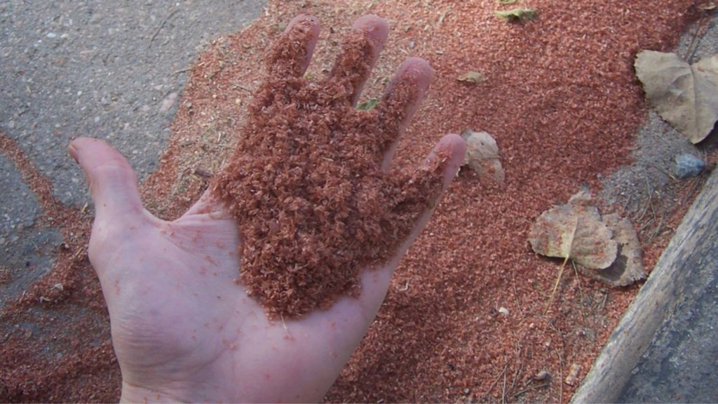 #LABORAL | UNA MÁQUINA CEREALERA LE SUCCIONÓ LA MANO A UN&nbsp;OPERARIO