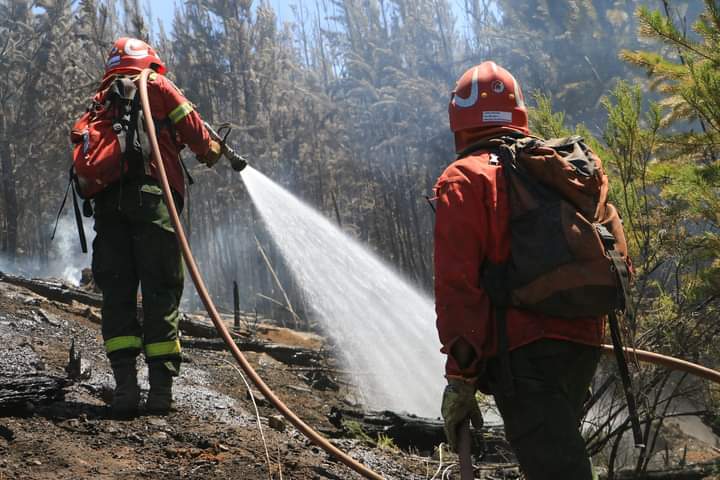 #CHUBUT | El Servicio Provincial de Manejo de Fuego intervino en 35 incendios desde el inicio de la&nbsp;temporada