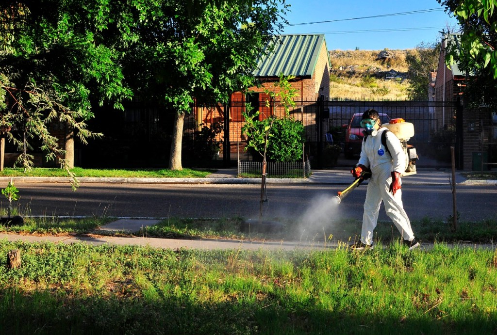 #TRELEW | PLAN DE&nbsp;FUMIGACIÓN