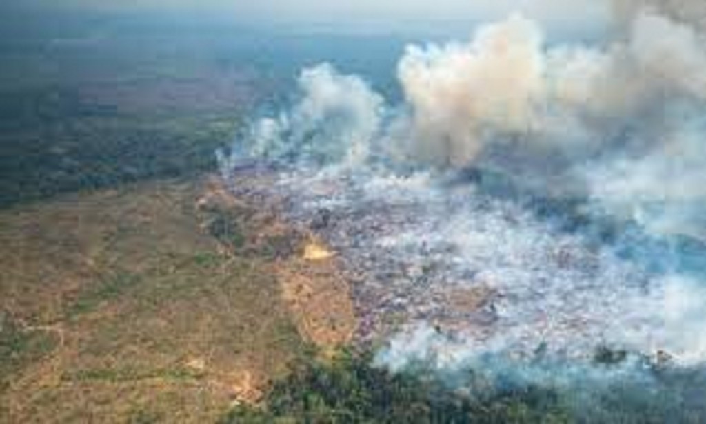 #MUNDO | Bogotá en «alerta ambiental» por incendios forestales en Amazonia&nbsp;colombiana