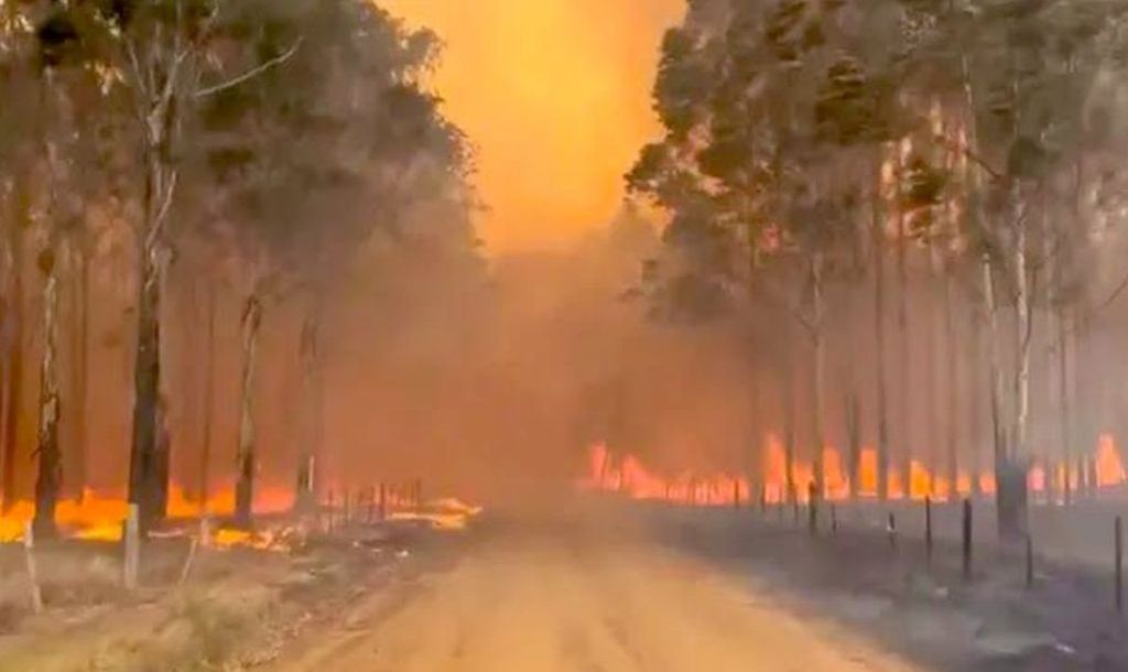 Extinguieron los incendios en Corrientes y no quedan focos activos en el&nbsp;país