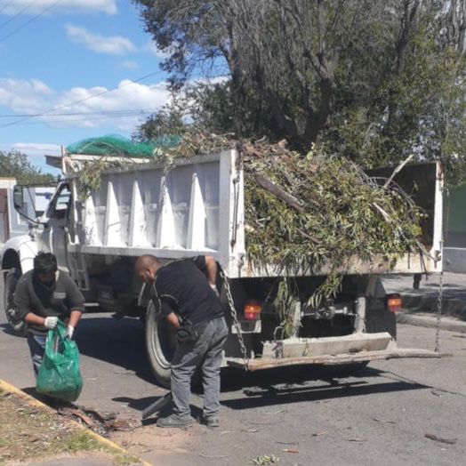 #RAWSON | Aclaran sobre tareas de poda en la Avenida 25 de&nbsp;Mayo
