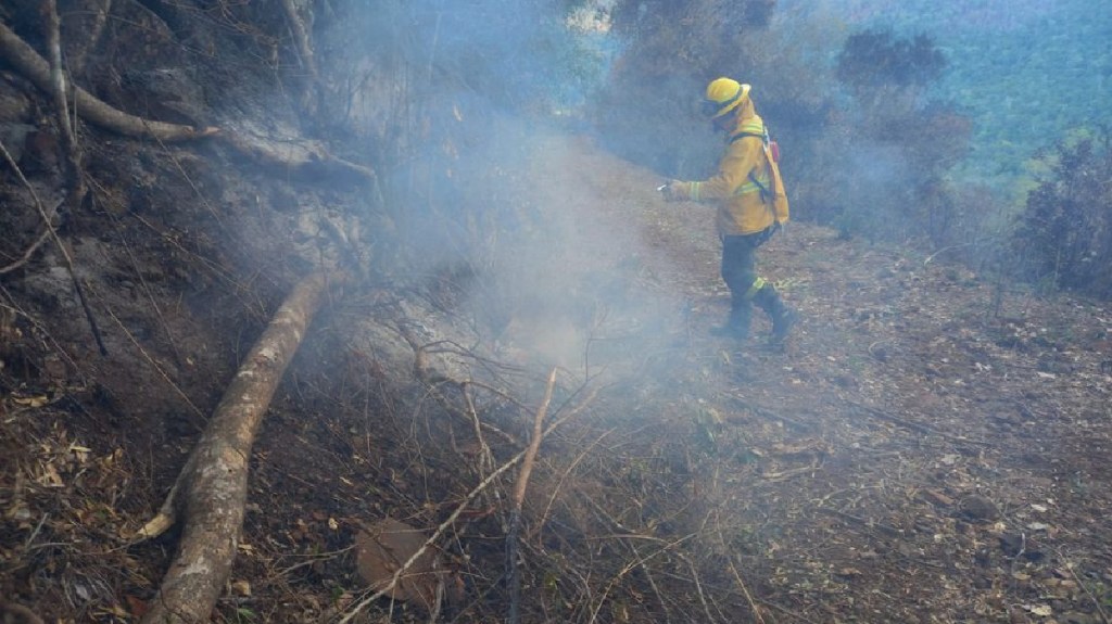#AHORA | Los incendios en Corrientes se encuentran&nbsp;«controlados»