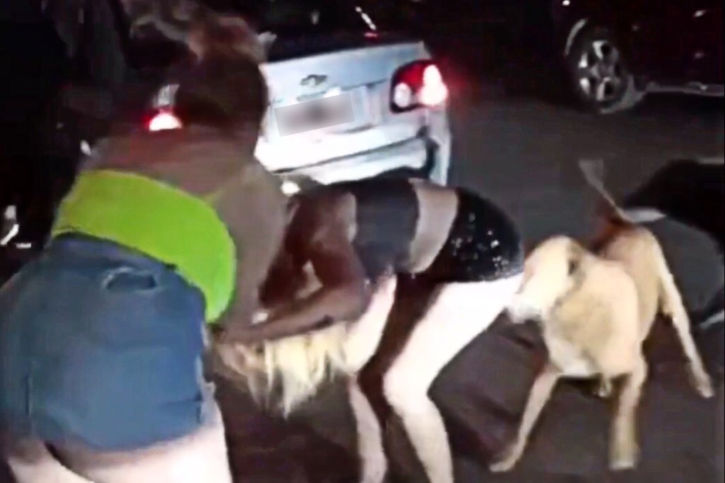 #INDIGNANTE | BRUTAL PELEA ENTRE CUATRO MUJERES A LA SALIDA DE UN BOLICHE EN&nbsp;VIEDMA