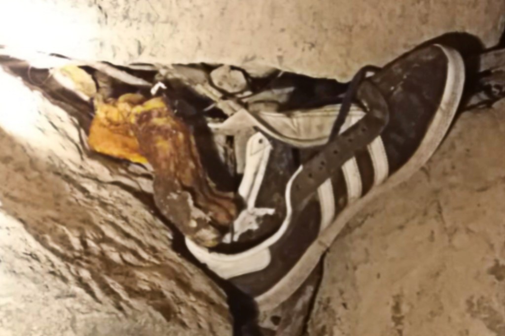 #MACABRO | ENCONTRARON UN PIE AMPUTADO EN ESTADO DE DESCOMPOSICION DENTRO DE UNA&nbsp;ZAPATILLA