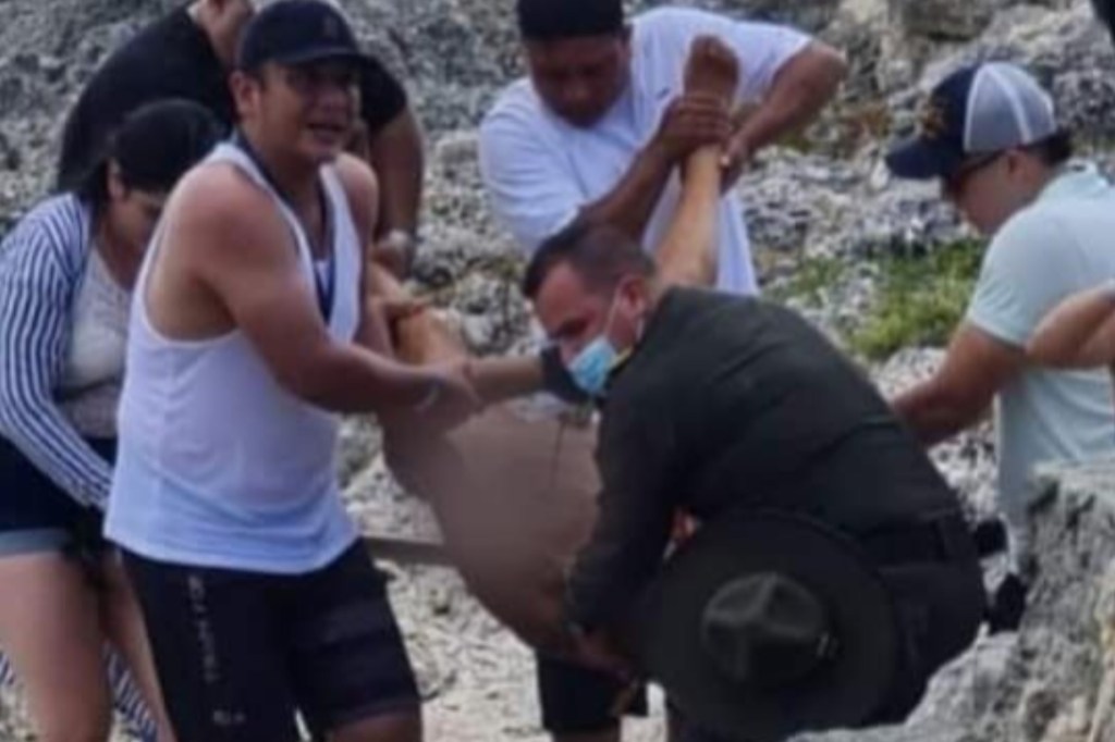 #HORROR | UN TURISTA MURIÓ AL SER SALVAJEMENTE MORDIDO EN UNA PIERNA POR UN&nbsp;TIBURÓN