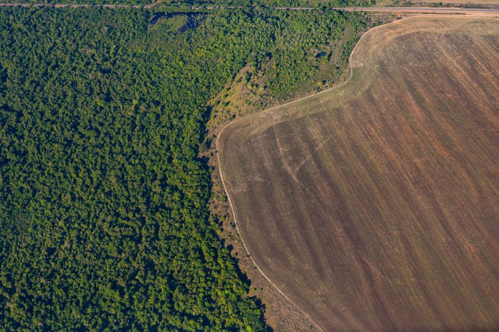 #PREOCUPANTE | La deforestación de la Amazonia brasileña marca un nuevo&nbsp;récord