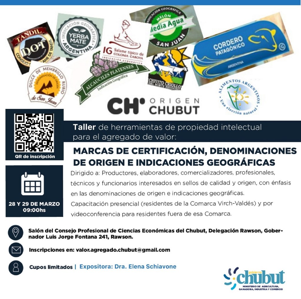 #CHUBUT | Taller sobre propiedad intelectual para el agregado de&nbsp;valor