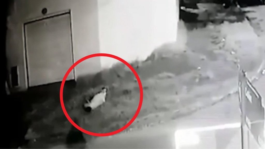 #POLICIALES | TRES DELINCUENTES MATARON A PUÑALADAS A UN REPARTIDOR DE 33&nbsp;AÑOS