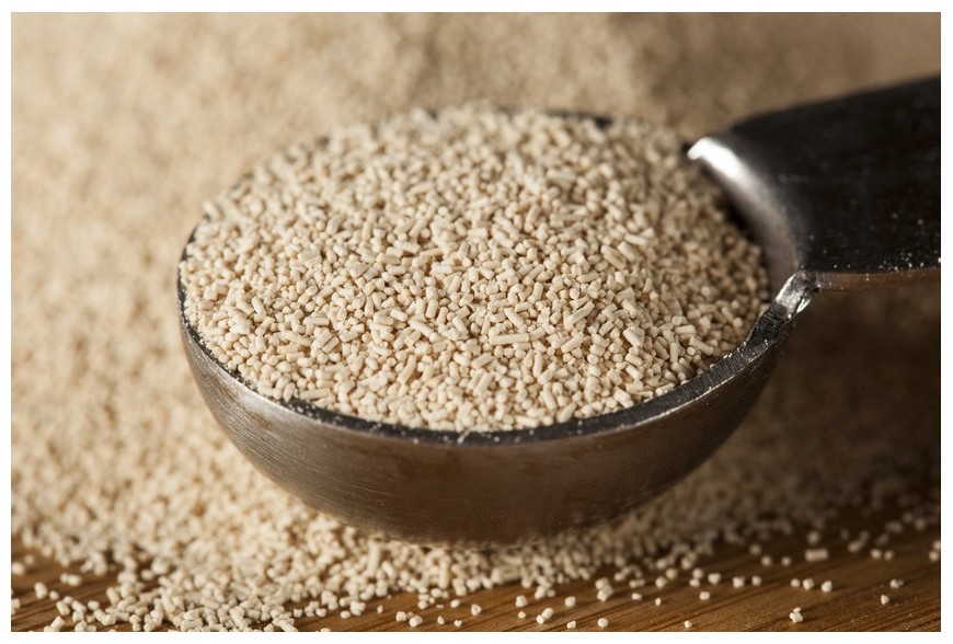 #DESARROLLO | Valor agregado e identidad regional a la producción de cerveza y whisky artesanal andino&nbsp;patagónico