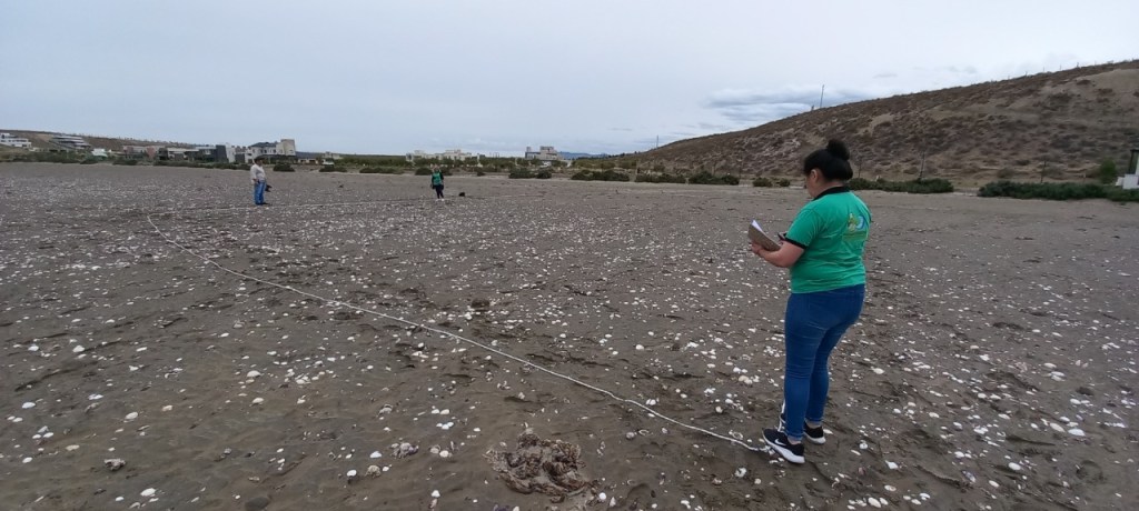 #AMBIENTE | Censo de residuos en playas de Comodoro&nbsp;Rivadavia