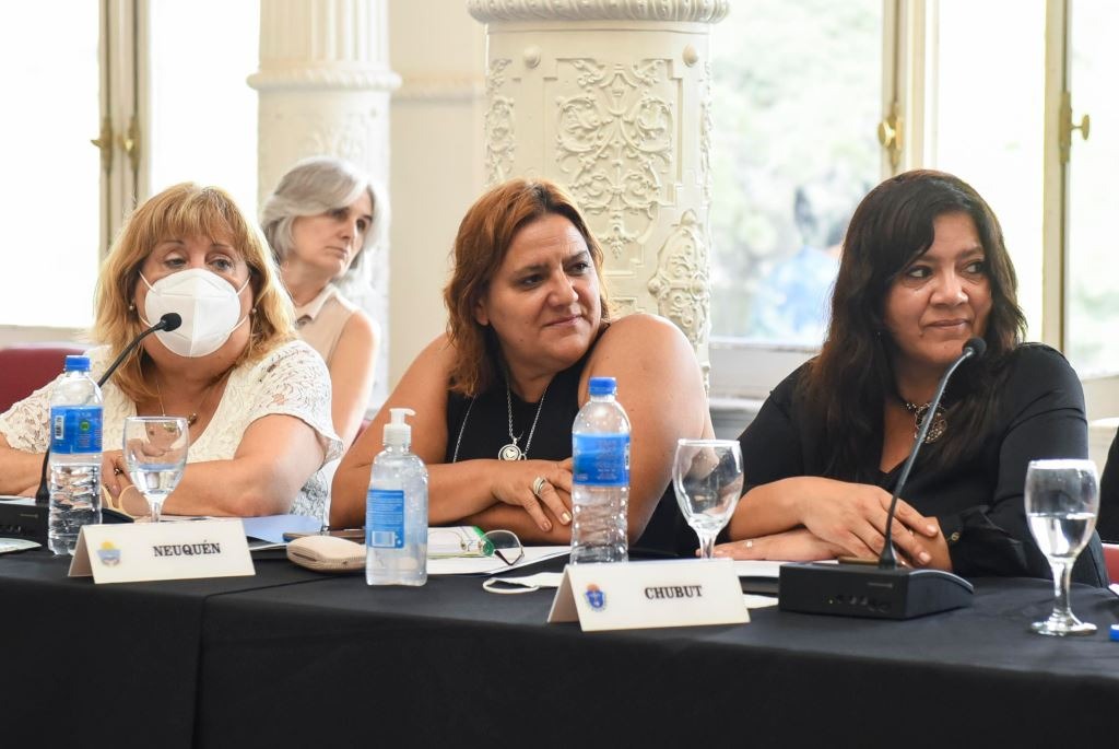 #REUNION | Chubut participó de la 116° Asamblea del Consejo Federal de&nbsp;Educación