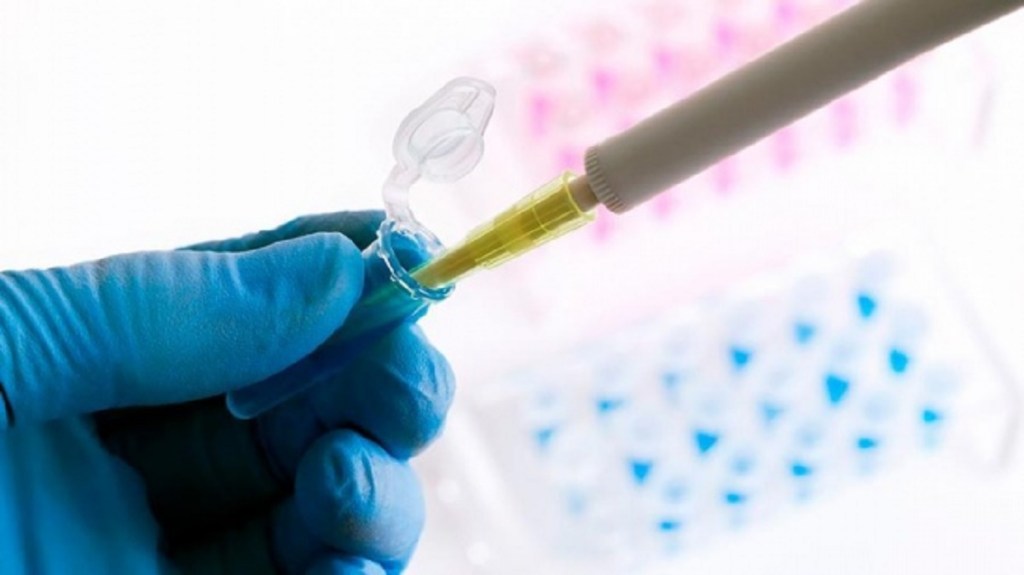 #INVERSIÓN | Destinan $ 1.000 millones para potenciar economía del conocimiento en todas las&nbsp;provincias