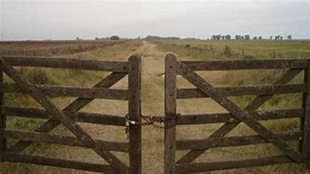 #PROTECCIÓN | Prorrogan ley que evita desalojos a pequeños productores campesinos e&nbsp;indígenas