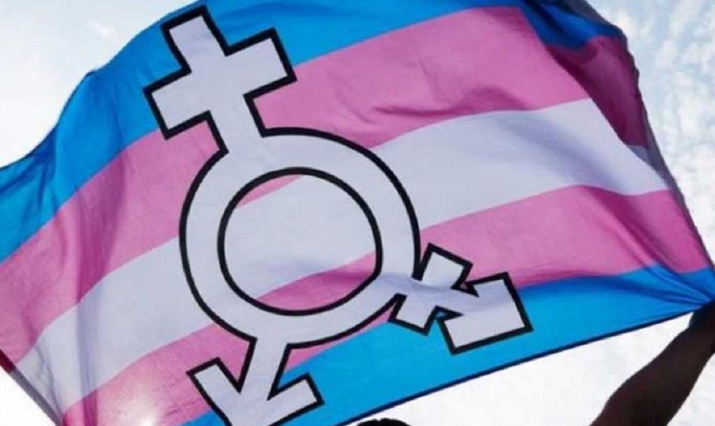 #IGUALDAD | Actividades en todo el país para celebrar el Día de la Visibilidad&nbsp;Trans