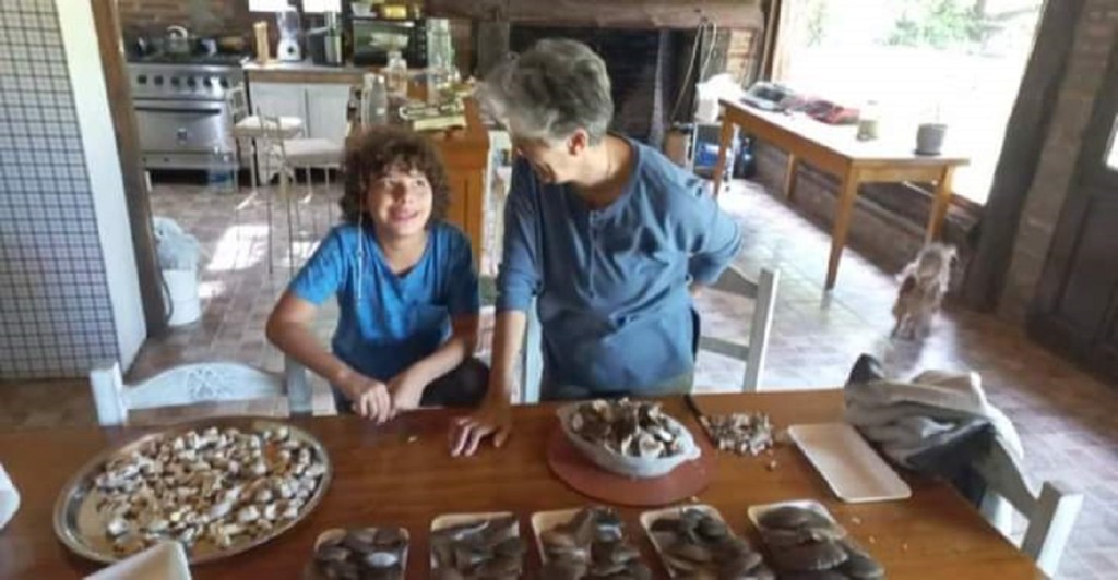 #CHUBUT | Emprendimiento de producción de girgolas en&nbsp;Sarmiento