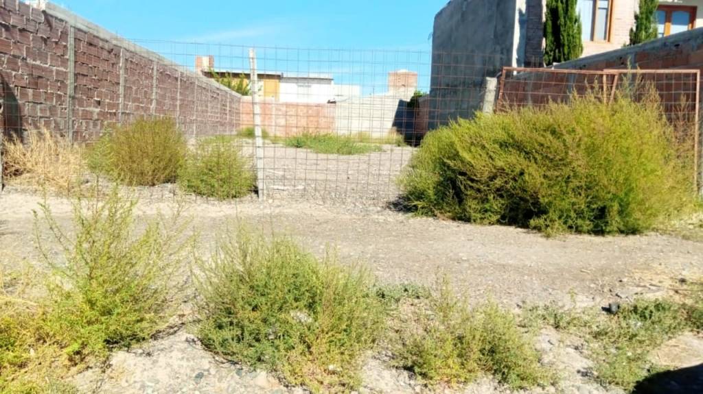 #TRELEW | Controles y multas por falta de limpieza en terrenos y&nbsp;frentes