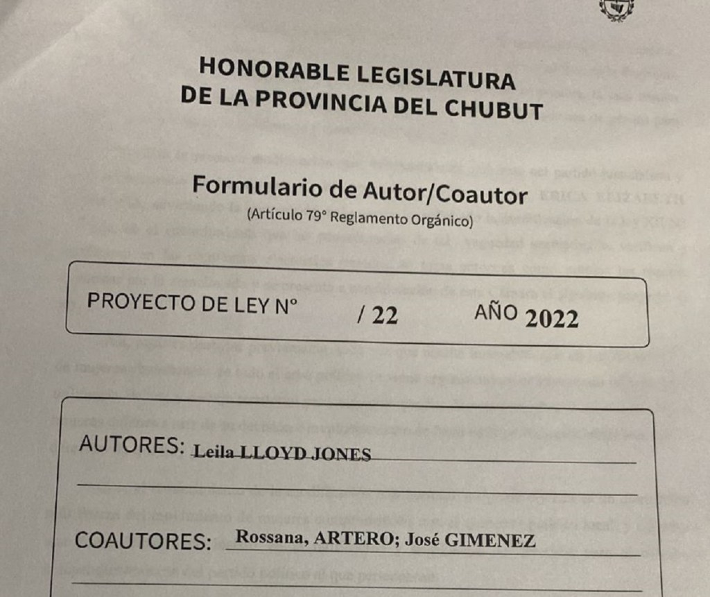 #CHUBUT | QUIEREN QUE LA POLÍTICA DE GÉNERO SEA PARA LOS TRES&nbsp;PODERES