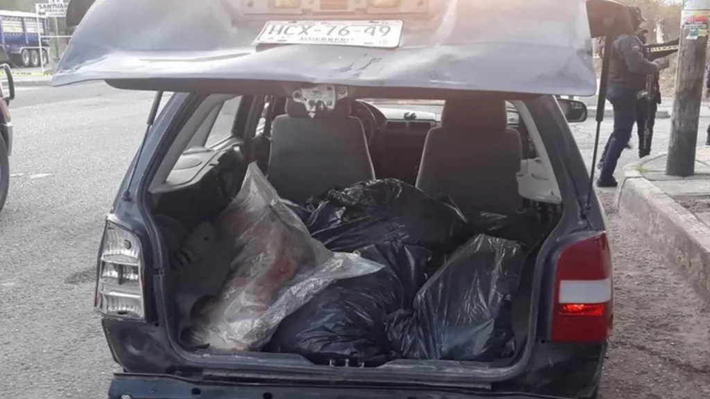 #HORROR | ENCONTRARON 6 CABEZAS HUMANAS EN EL BAÚL DE UN&nbsp;AUTO