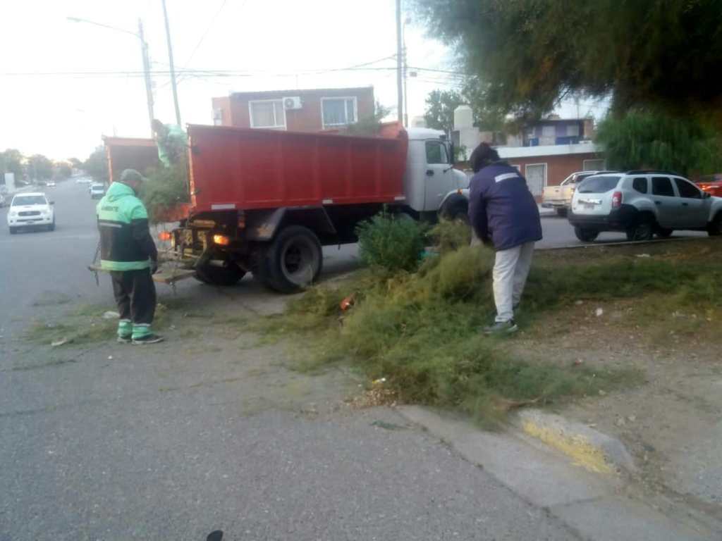 #RAWSON | Ambiente realiza trabajos de&nbsp;mantenimiento