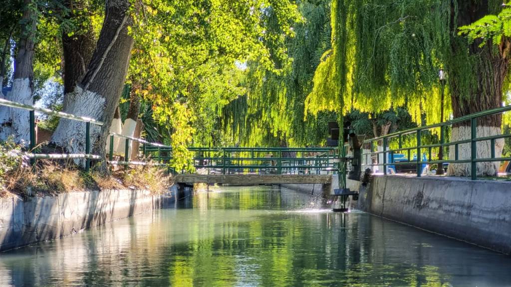 #DATO | Dolavon celebra su 103º aniversario con actividades para toda la&nbsp;familia