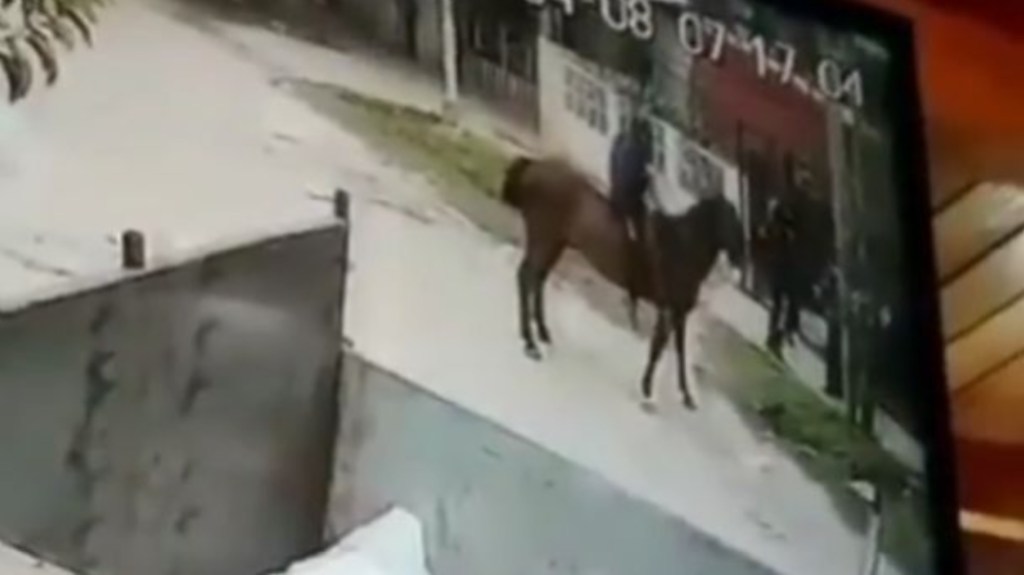 #INSÓLITO | A CABALLO DOS DELINCUENTES LES ROBARON LAS MOCHILAS A UNOS&nbsp;ESTUDIANTES