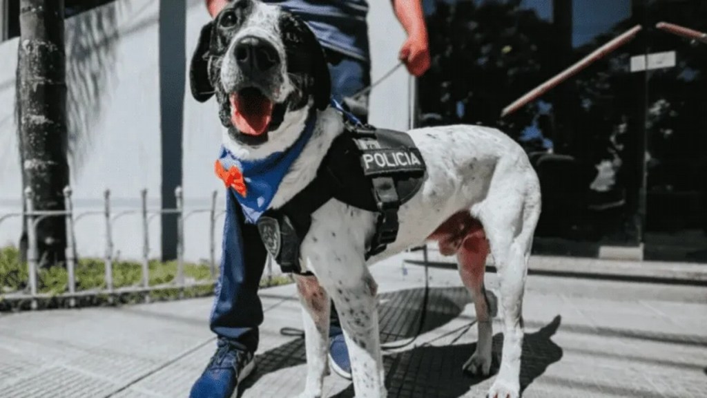 #VIRAL | SE RETIRA “FALOPA”, EL PERRO DE LA POLICÍA DE JUJUY QUE ES FUROR POR SU&nbsp;NOMBRE