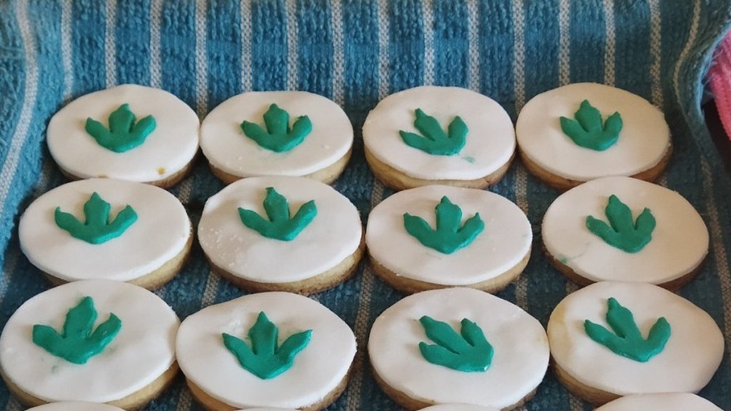 #INSÓLITO | QUISO HACER GALLETITAS DE DINOSAURIOS, NO LES QUEDÓ COMO QUERÍA Y EL RESULTADO SE HIZO&nbsp;VIRAL